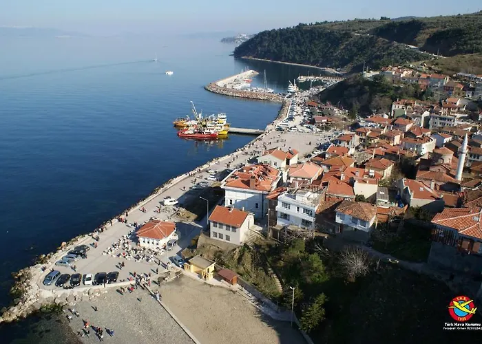 Trilyali Butik Tirilye